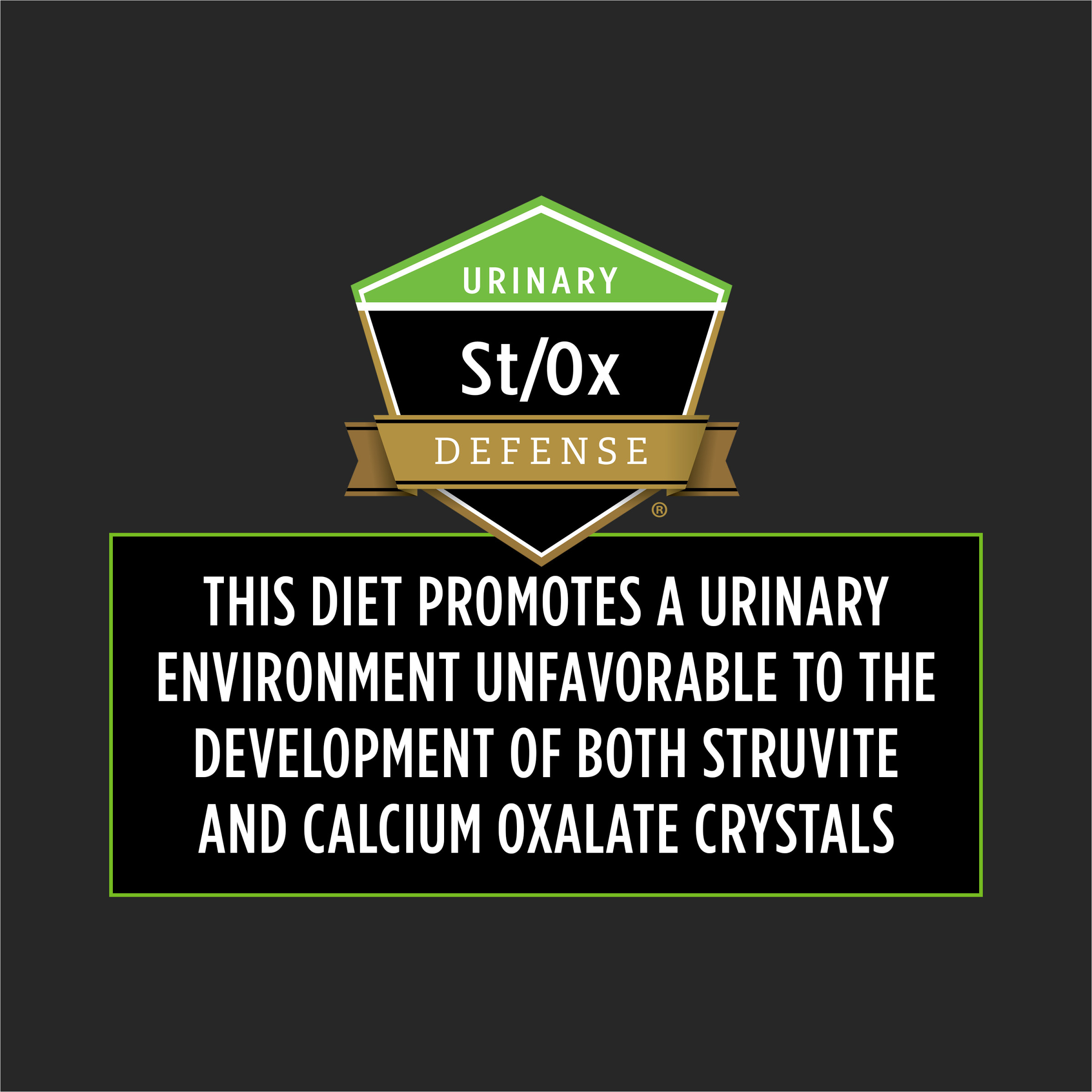 slide5