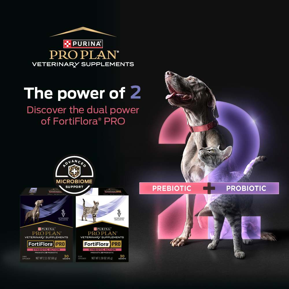 PURINA PPVS FortiFlora Pro Canine 30 x 2g | Purina Australia