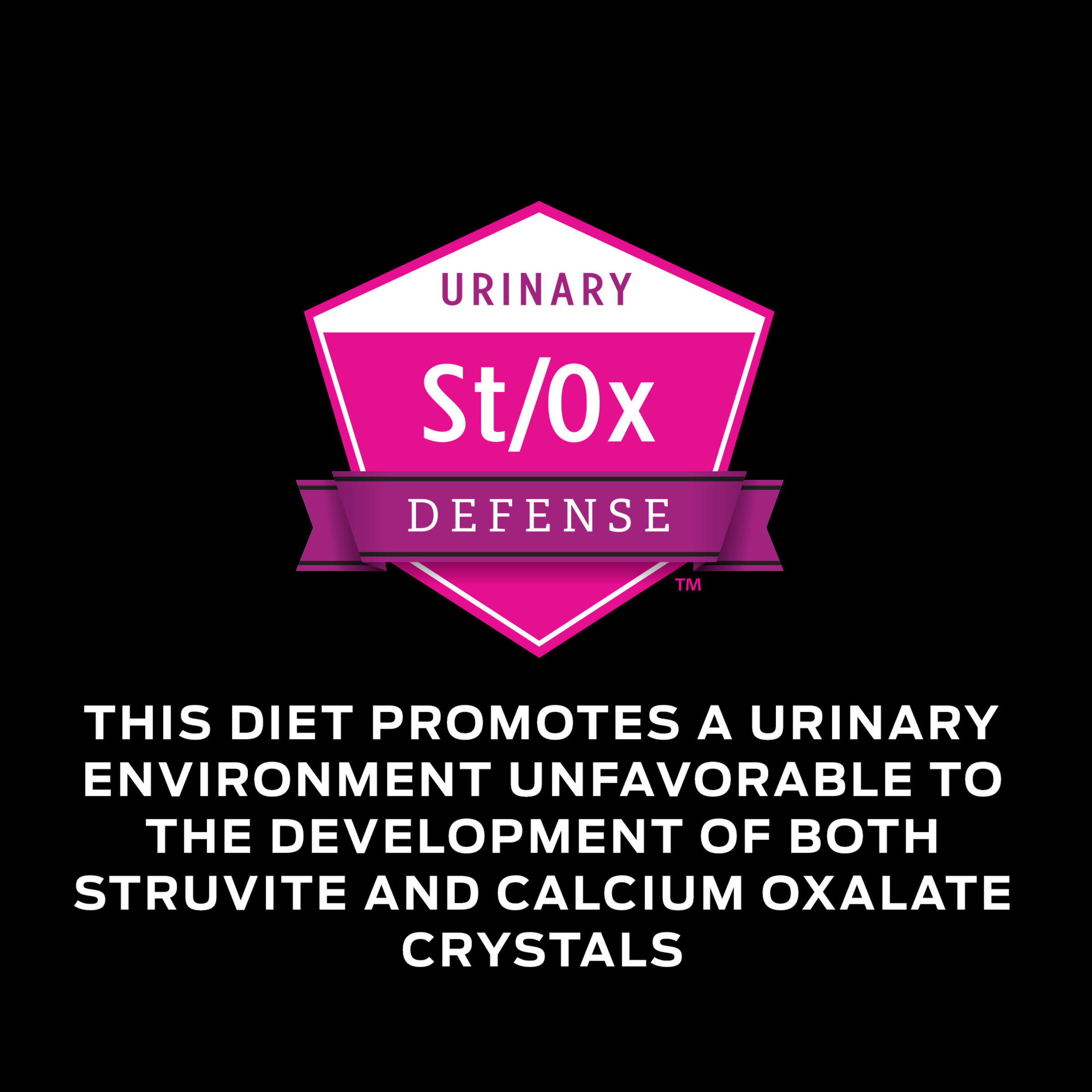 slide7