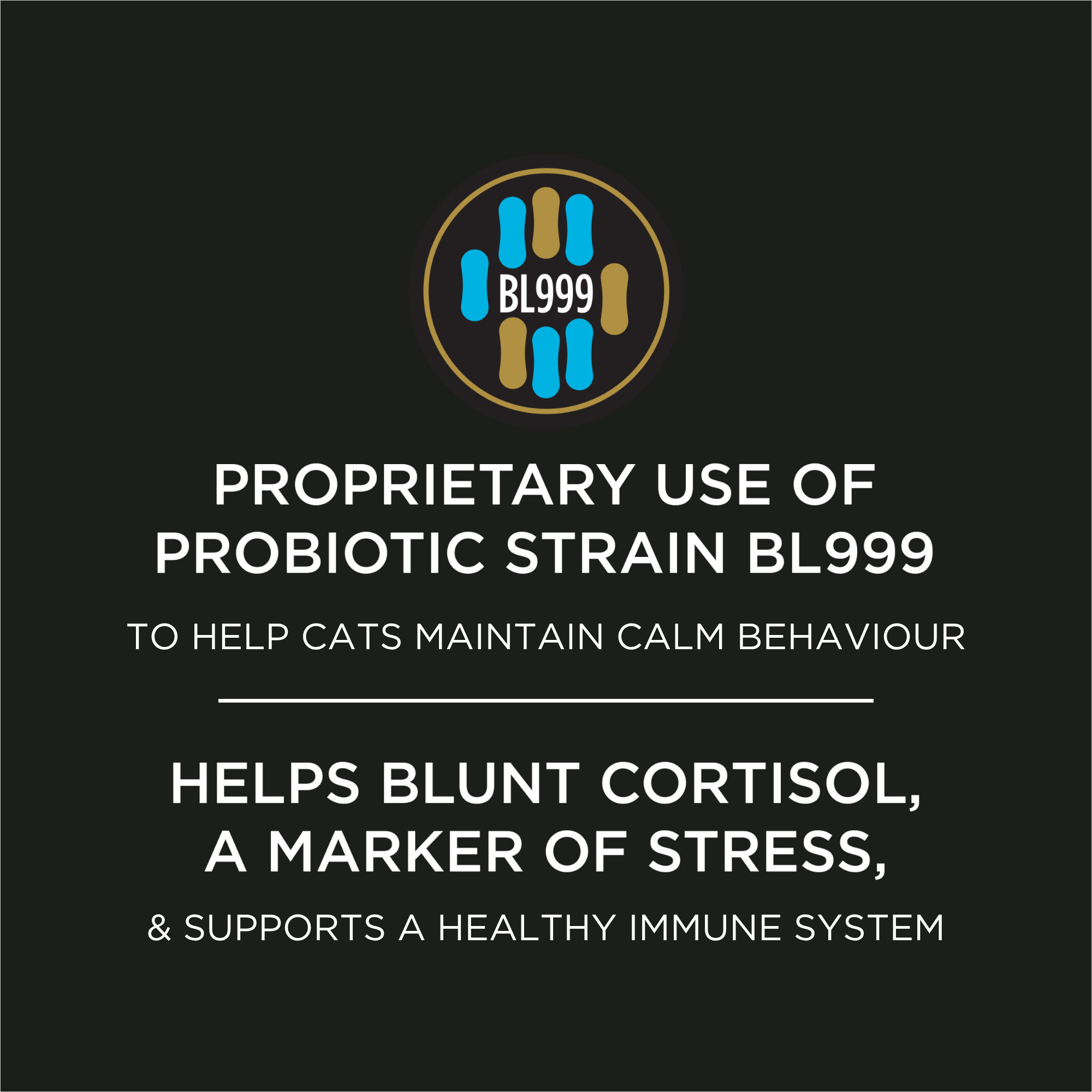 slide8