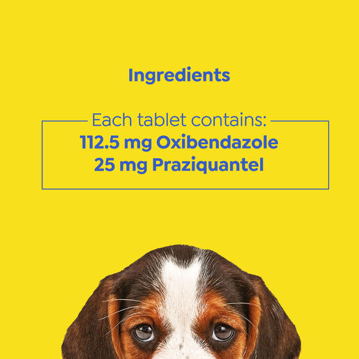 purina total care chocolate worming treatment
