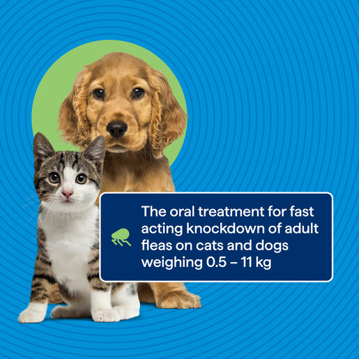 slide3