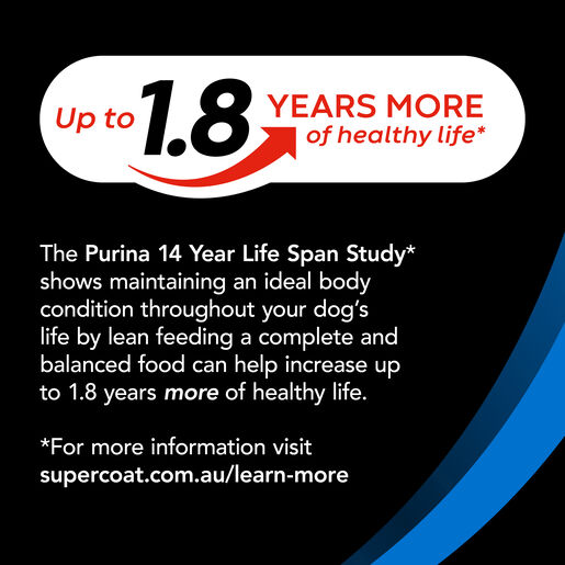 slide5