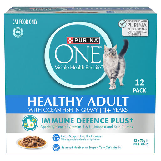 PURINA ONE Adult with Oceanfish in Gravy Wet Pouch