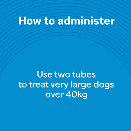 slide7