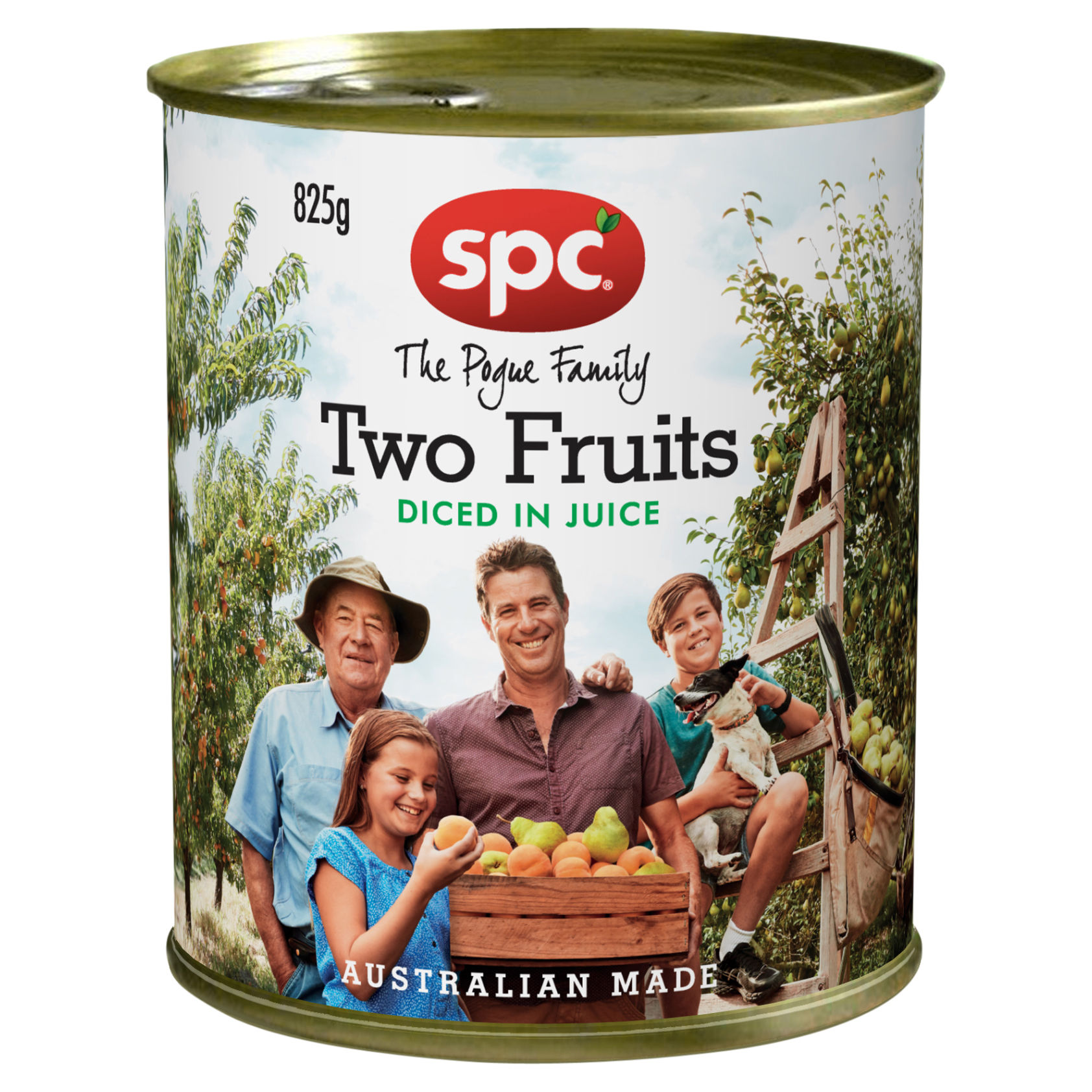 SPC Diced Two Fruits in Juice 825g