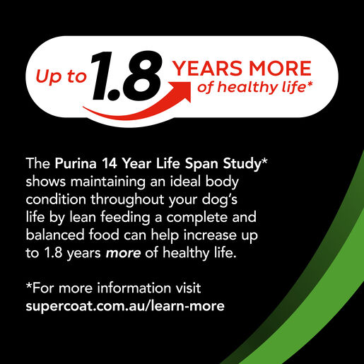 slide5